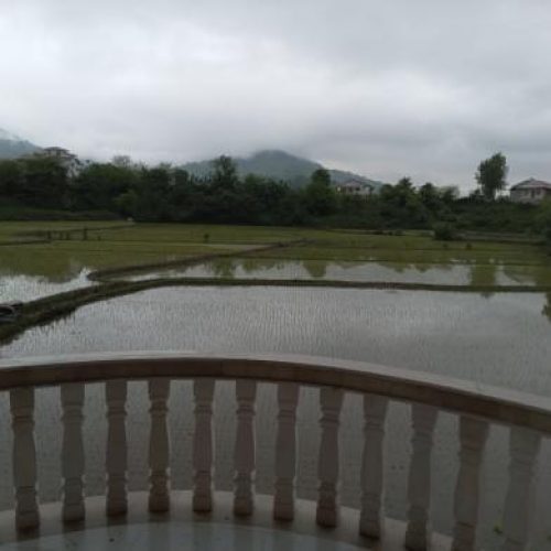 ویلانوسازحیاط دارتراس دار