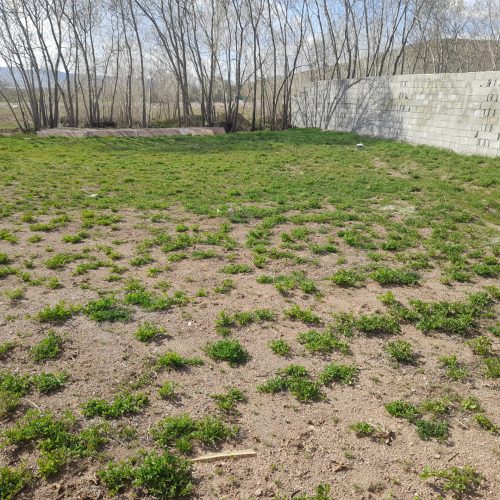 زمین ویلایی کرگان