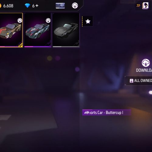 اکانت فیری فایر