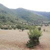 زمین در منطقه کجور عالی دره