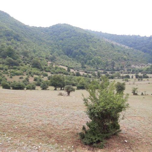 زمین در منطقه کجور عالی دره