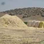 فروش 13 کپه کاه