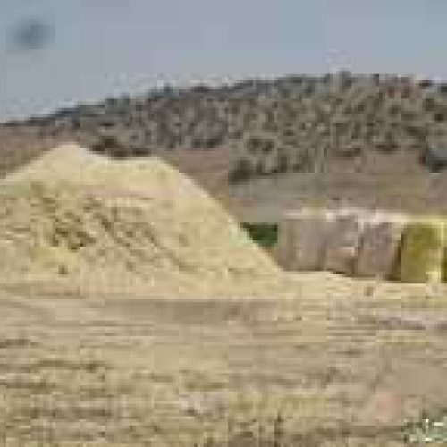 فروش 13 کپه کاه