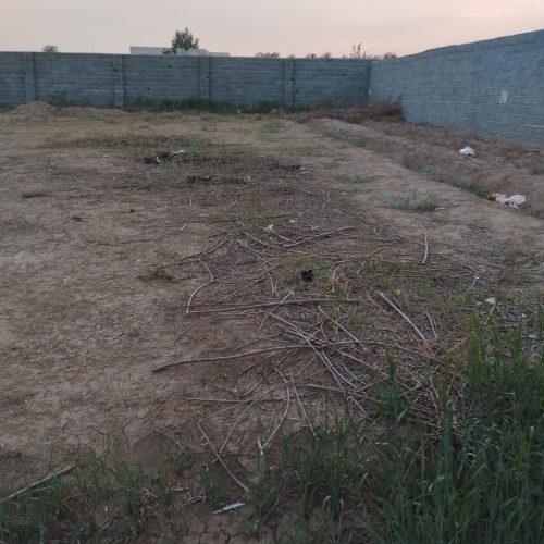زمین برا باغ و ویلا باغچه
