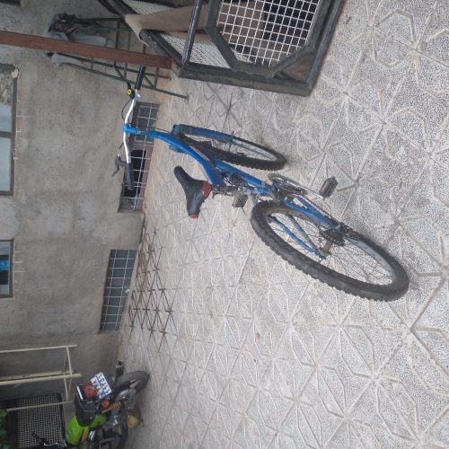 یک عدد دوچرخ دنده