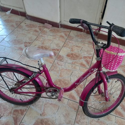 دوچرخه دخترانه