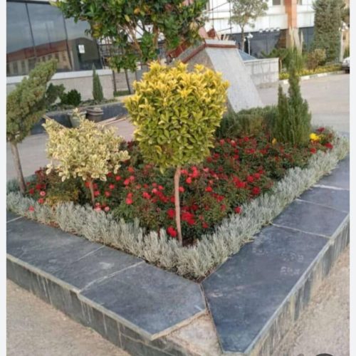 خدمات باغبانی گل کاری سرویس به تمام نقاط تهران