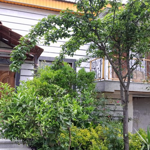 فروش خانه باغ