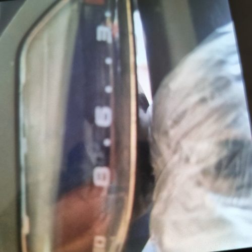 دوچرخه اورلورد