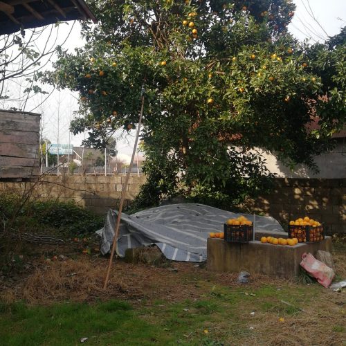 ویلا کلنگی کوچه 8متری جای دنج برای استراحت