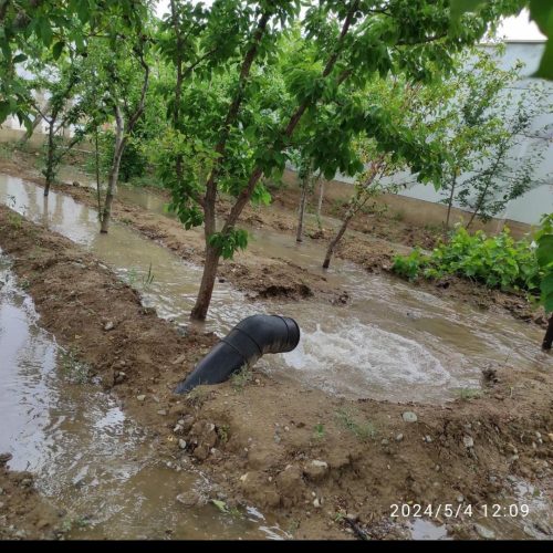 سهیلیه رامجین با استخر وبنا دو بحر