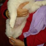 واگذاری به علت نقل مکان