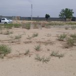 فروش زمین باغ