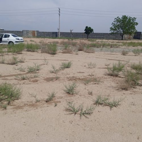 فروش زمین باغ