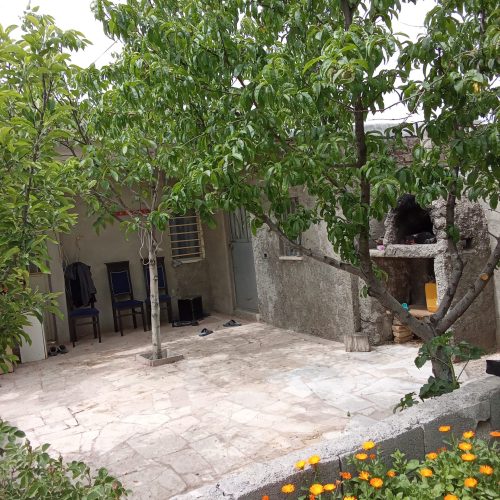 باغ زمین جاده کورانه روستای میانبر