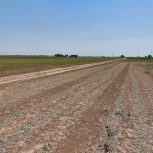 زمین کشاورزی مناسب باغ باغچه و چهاردیواری گلتپه