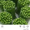 فروشنده میوه