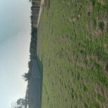 زمین مسکونی