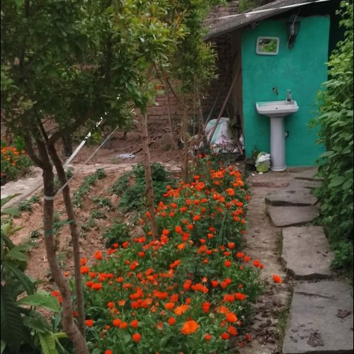خانه باغ