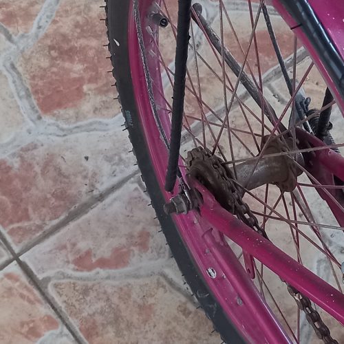 دوچرخه دخترانه