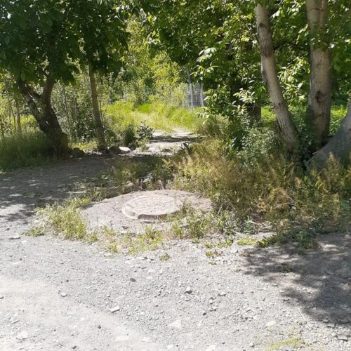 باغ به متراژ 1100 متر در شهرستان گیوی