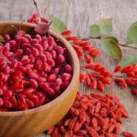 پخش کلی و جزئی آب آلبالو و آب زرشک طبیعی