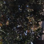 1400 متر زمین مسکونی آزادراه قزوین رشت همت اباد