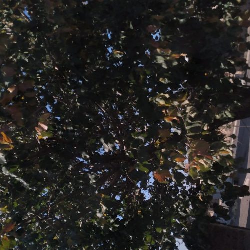 1400 متر زمین مسکونی آزادراه قزوین رشت همت اباد