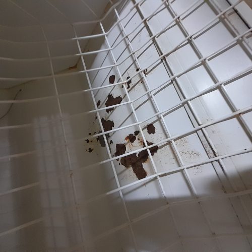 یخچال فیلور و فریزر پارس