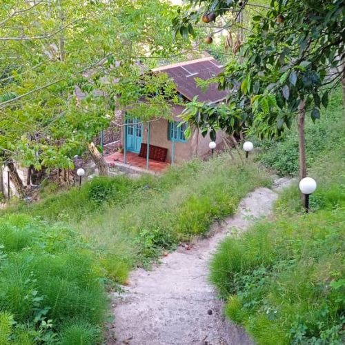 اجاره ویلای جنگلی