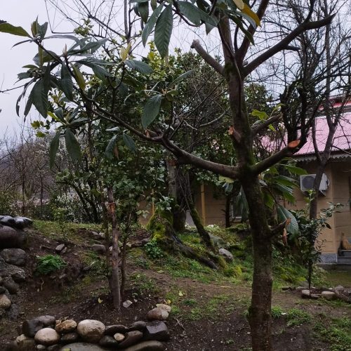 ویلا اجاره ایی