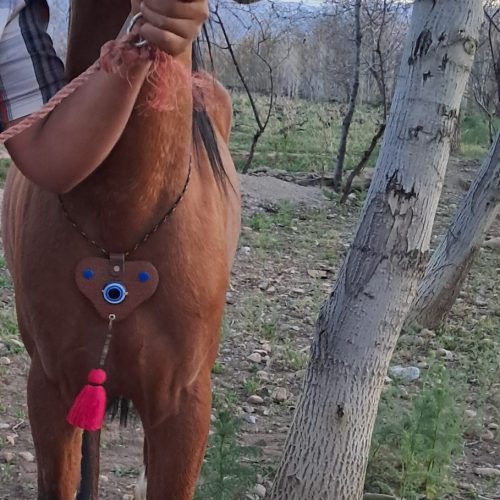 اسب دره‌شور