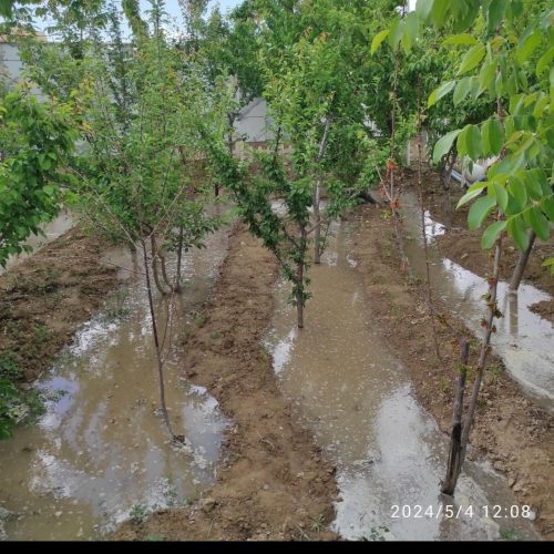 سهیلیه رامجین با استخر وبنا دو بحر