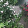 فروش خانه ویلایی دوبلکس همراه با باغ بزرگ
