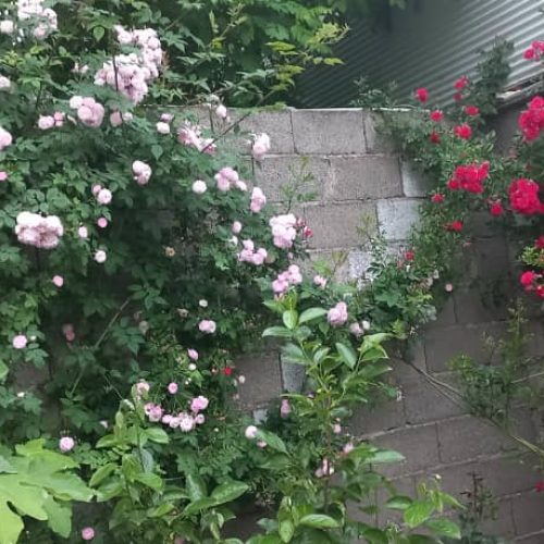 فروش خانه ویلایی دوبلکس همراه با باغ بزرگ