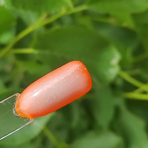 خدمات ناخن،کاشت ناخن،کاور،لمینیت،کاشت ژورنالی،کاشت دیزاین دائمی