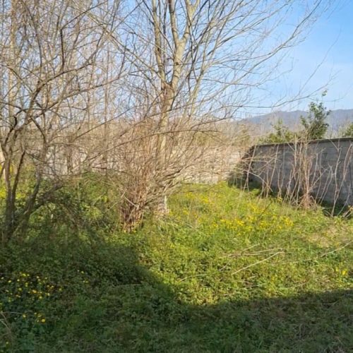 فروش 300 متر زمین مسکونی