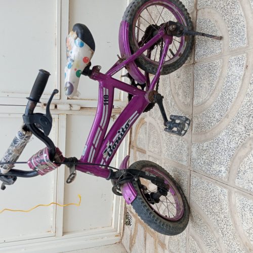 یک‌عدد‌دوچرخه‌12واسکوتر