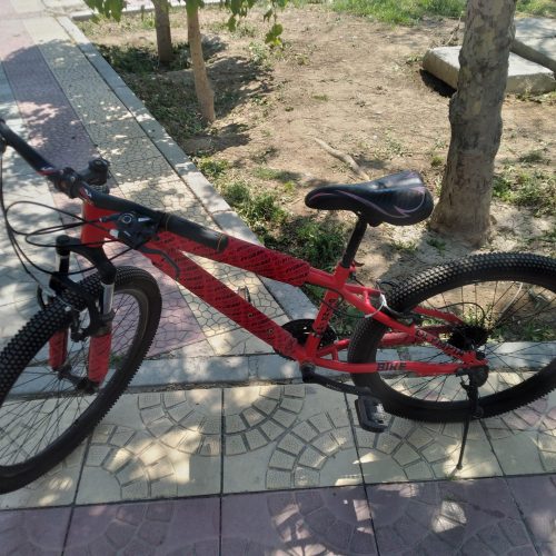 دوچرخه الم پیا