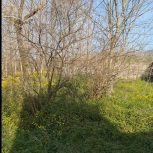 فروش 300 متر زمین مسکونی