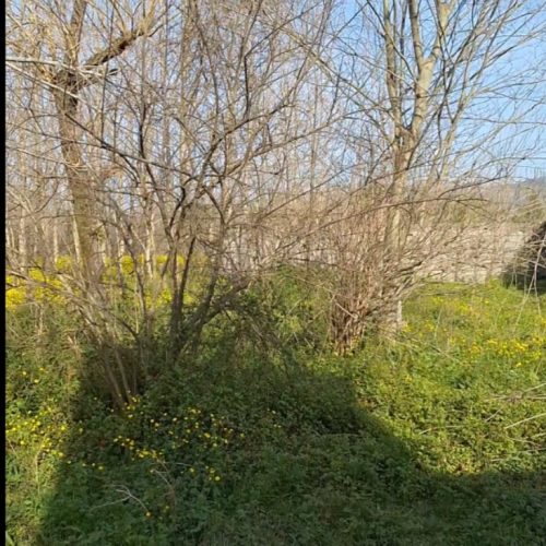 فروش 300 متر زمین مسکونی