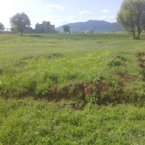 زمین مسکونی