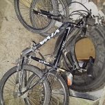 ویوا و الگانس