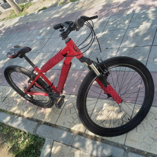 دوچرخه الم پیا