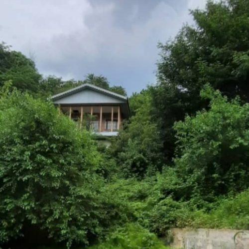 اجاره ویلای جنگلی