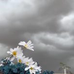 ای که دستت میرسد کاری بکن