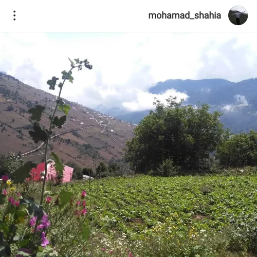 فروش زمین مسکونی