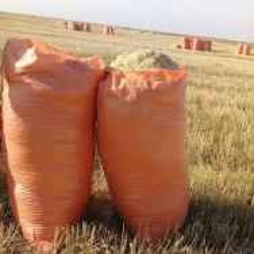 فروش 13 کپه کاه