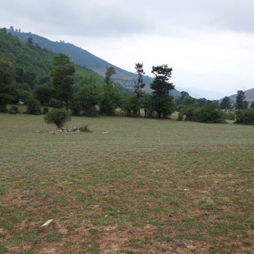 زمین در منطقه کجور عالی دره