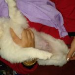 فروش به علت نقل مکان